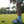 Swing Easy Socks